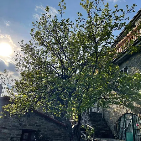 Casa Di Nonno Meme Citra 008035-lt-0018 Apartment *