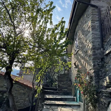 Casa Di Nonno Meme Citra 008035-lt-0018