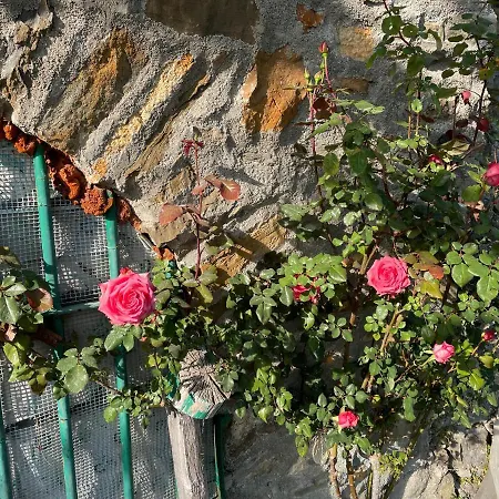 Casa Di Nonno Meme Citra 008035-lt-0018