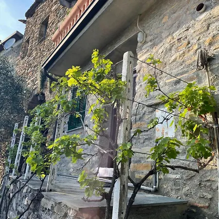 Casa Di Nonno Meme Citra 008035-lt-0018 Apartament