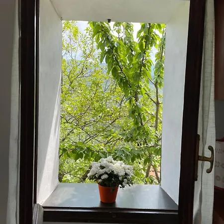 Casa Di Nonno Meme Citra 008035-lt-0018