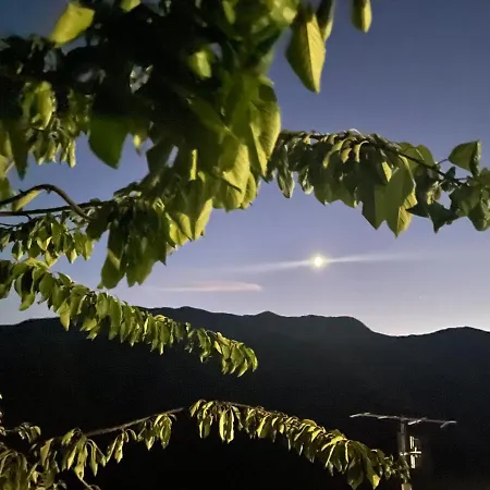 Casa Di Nonno Meme Citra 008035-lt-0018 アパート *