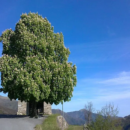 Casa Di Nonno Meme Citra 008035-lt-0018 Andagna