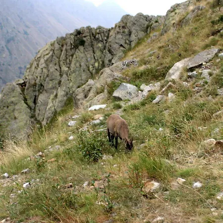 Casa Di Nonno Meme Citra 008035-lt-0018 アパート