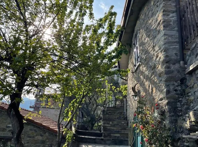 Casa Di Nonno Meme Citra 008035-lt-0018