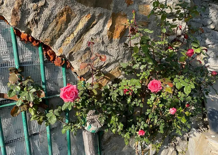 Casa Di Nonno Meme Citra 008035-lt-0018