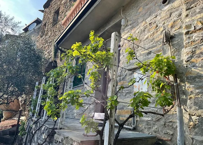 Casa Di Nonno Meme Citra 008035-lt-0018 Apartamento