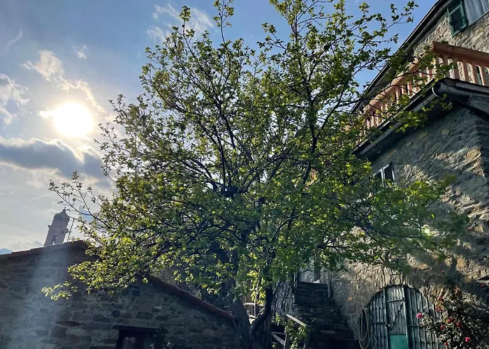 Casa Di Nonno Meme Citra 008035-lt-0018 Apartamento *