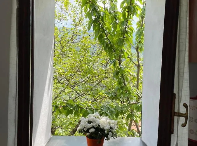 Casa Di Nonno Meme Citra 008035-lt-0018