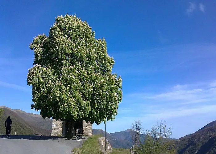 Casa Di Nonno Meme Citra 008035-lt-0018 Andagna