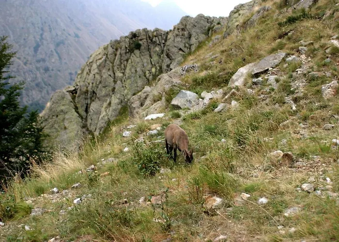 Casa Di Nonno Meme Citra 008035-lt-0018 Apartamento